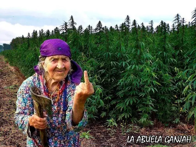narcotrafico