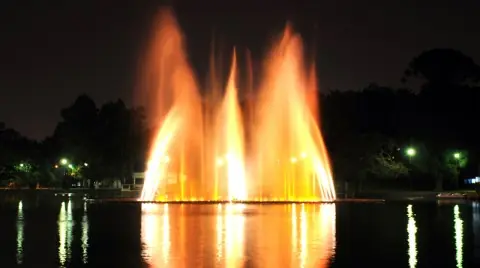 2011