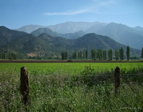 chile