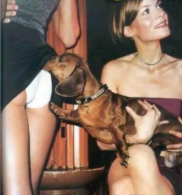 Como se rasca el mono !?