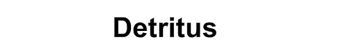 Detritus- Web Comic Argentino