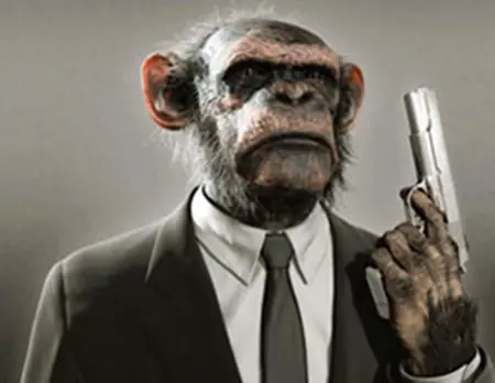 Los chimpancés pandilleros