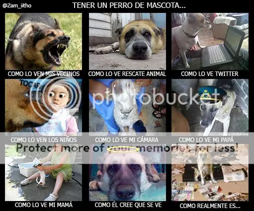 Mi primer Post -- > Mis primeras imagenes