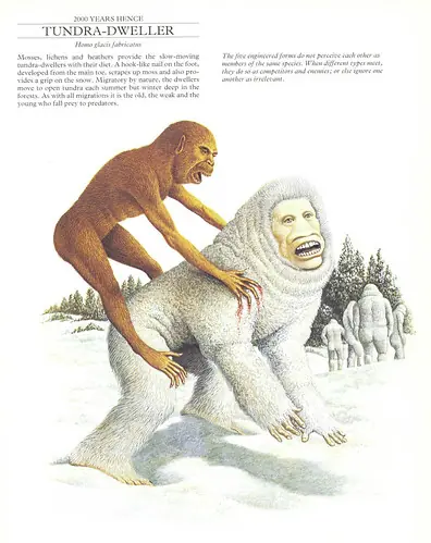 hombre despues del hombre