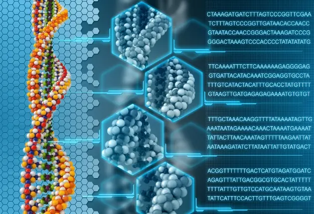 Se crea material genético sintético y capaz de evolucionar