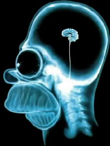 Últimos avances de la Ciencia Parte 1