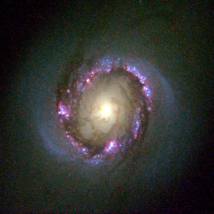 galaxias