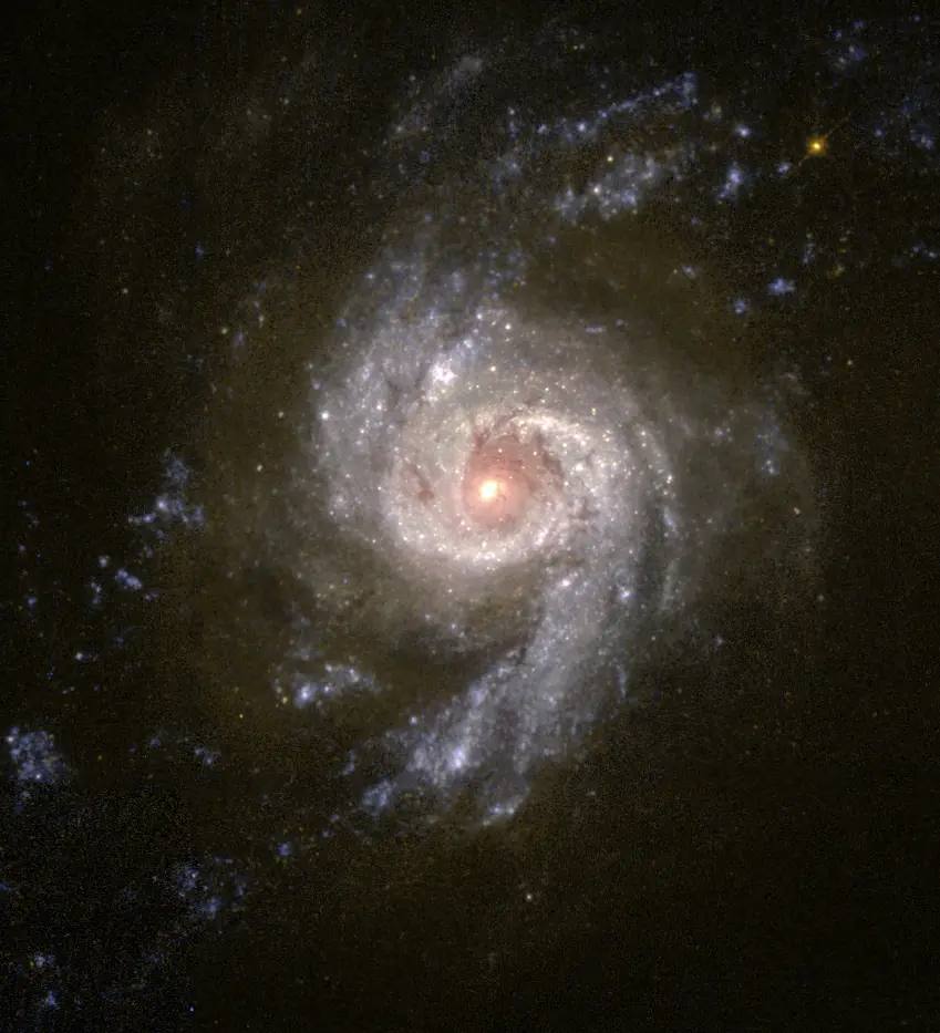 galaxias