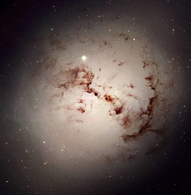 galaxias