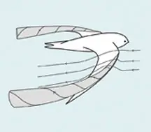 vuelo