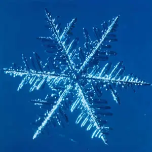 porque nieva