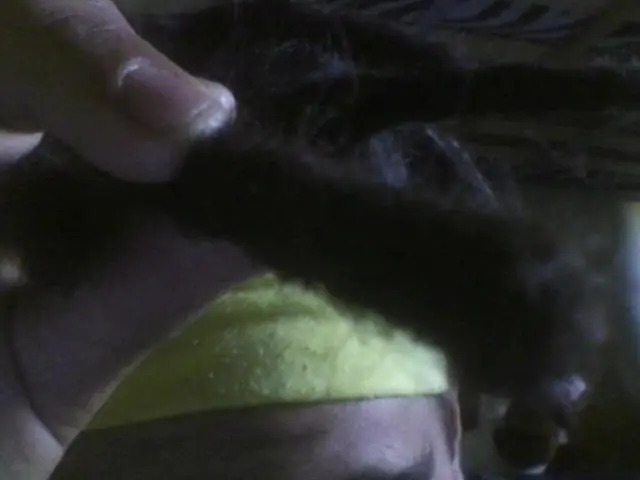como hacer rastas naturales