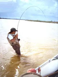 Zona de pesca