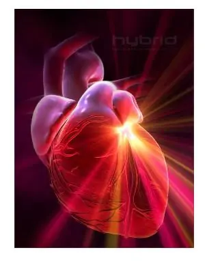 El Corazon-La voz de nuestros pensamientos?