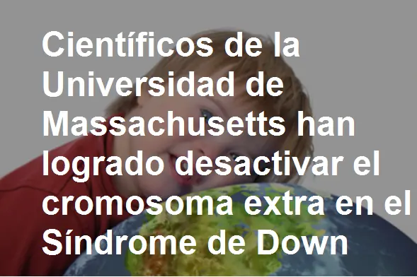 Curiosos