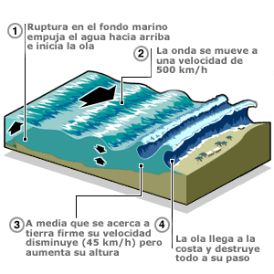 consecuencias