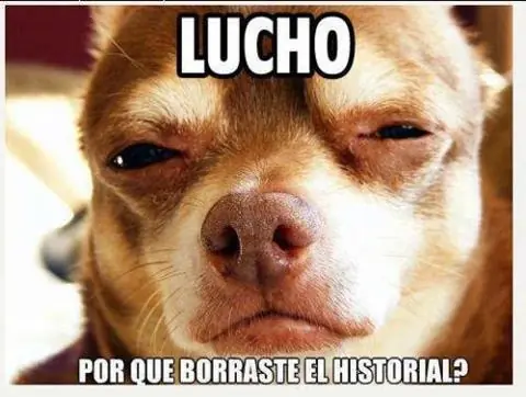 compilados