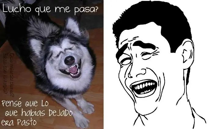 compilados