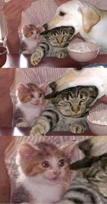 de