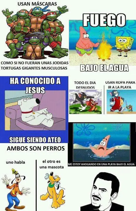 fotos