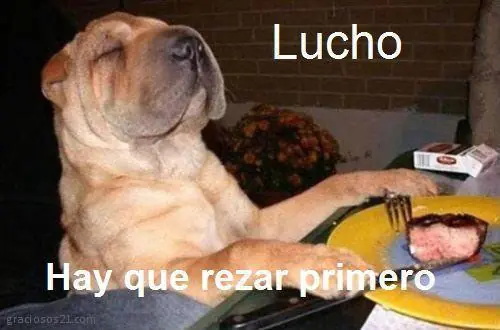 Compilados de "Los Chistes de Lucho"