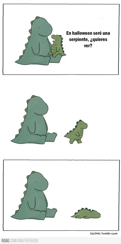 fotos