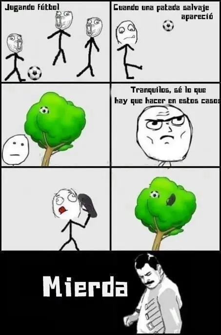 hoy
