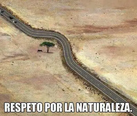 hoy