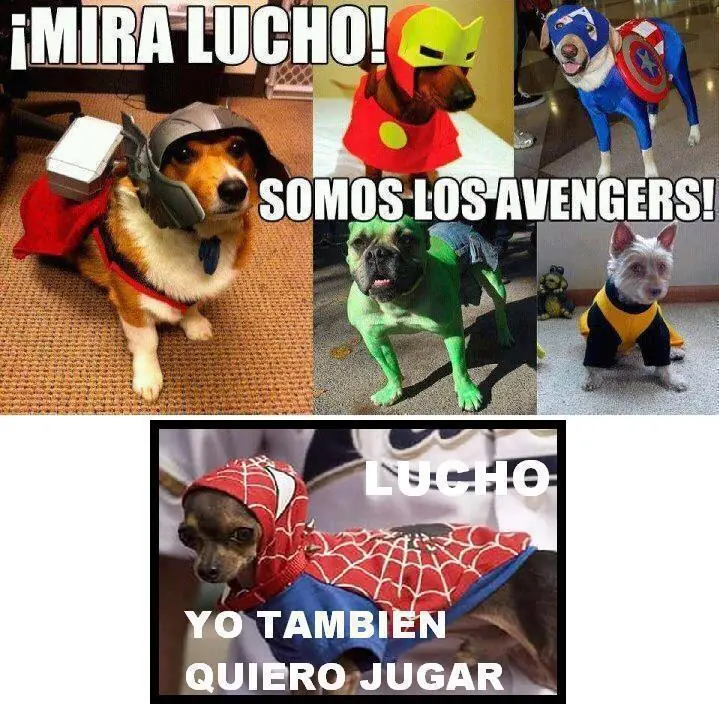sonrisa