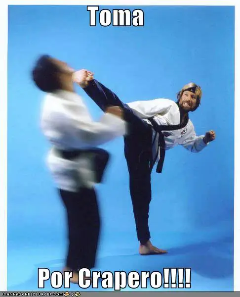 Definiciones de algunas palabras Taringueras