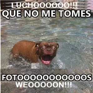 espero