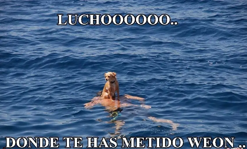 espero