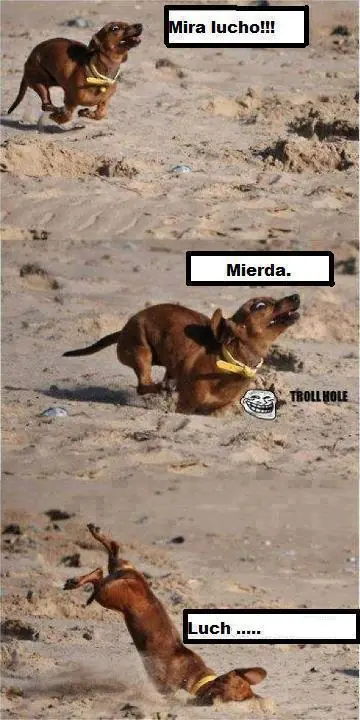 compilados