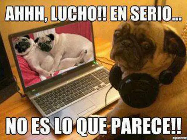 internet