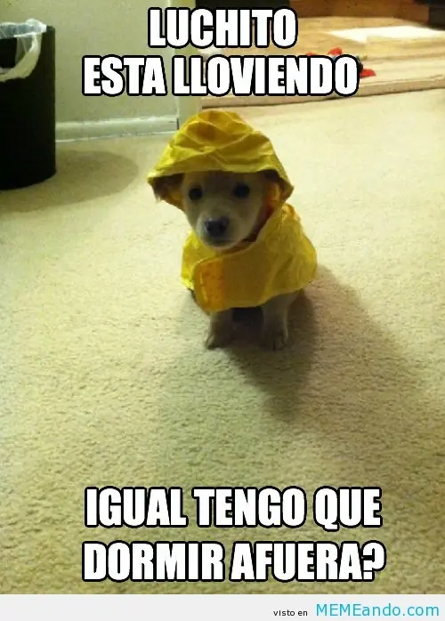 Compilados de "Los Chistes de Lucho"