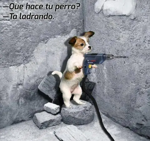 espero