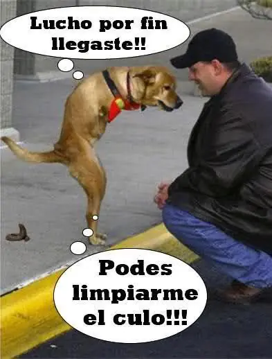 espero