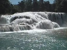 aaa