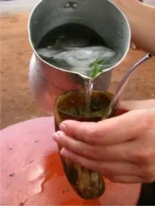 terere