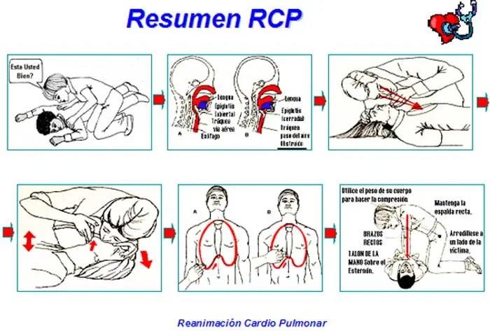 Como hacer RCP! Tutorial