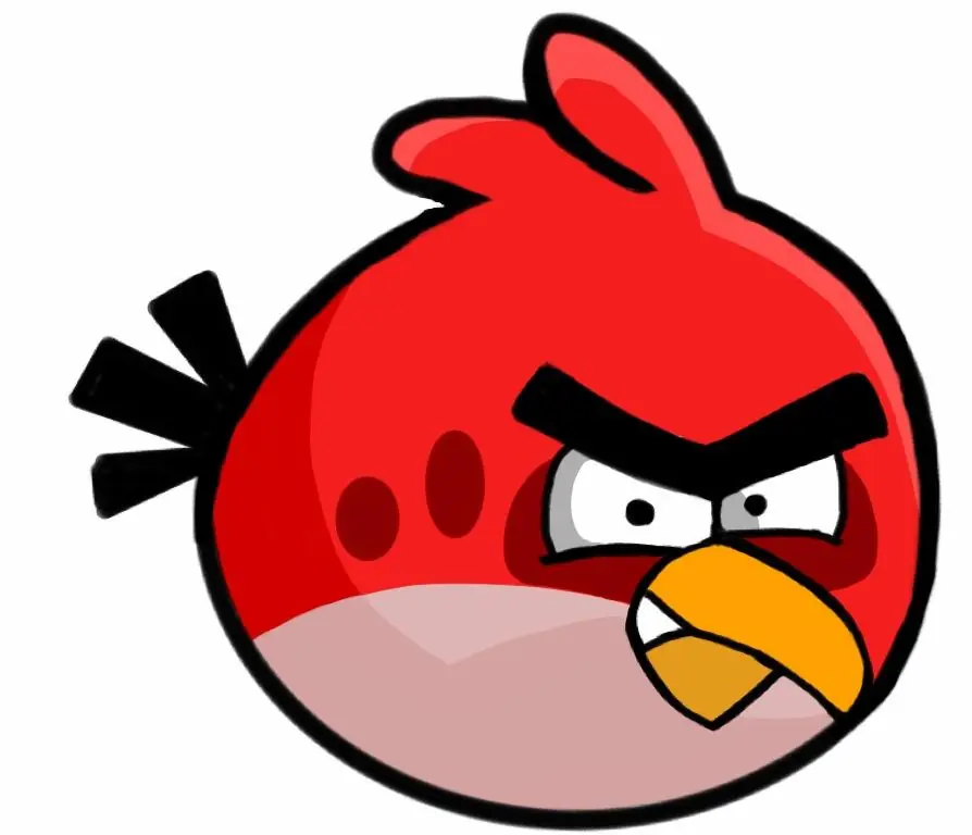 pajarito
