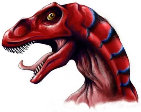 Numa Numa Raptor
