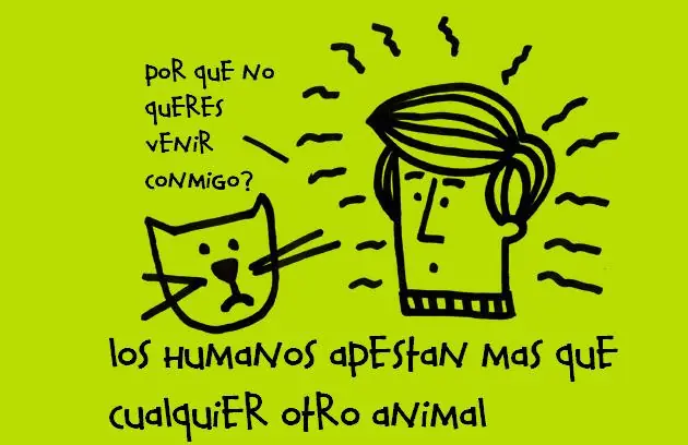 Algunas curiosidades que no sabías.