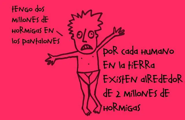 Algunas curiosidades que no sabías.