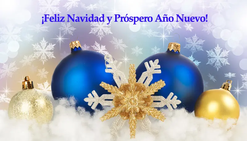 Regalos Navideños - 75% de Descuento en TemplateMonster !