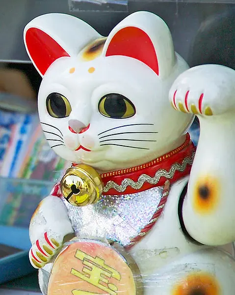 La historia de los gatos chinos
