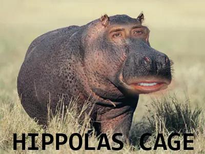 matara tu infancia