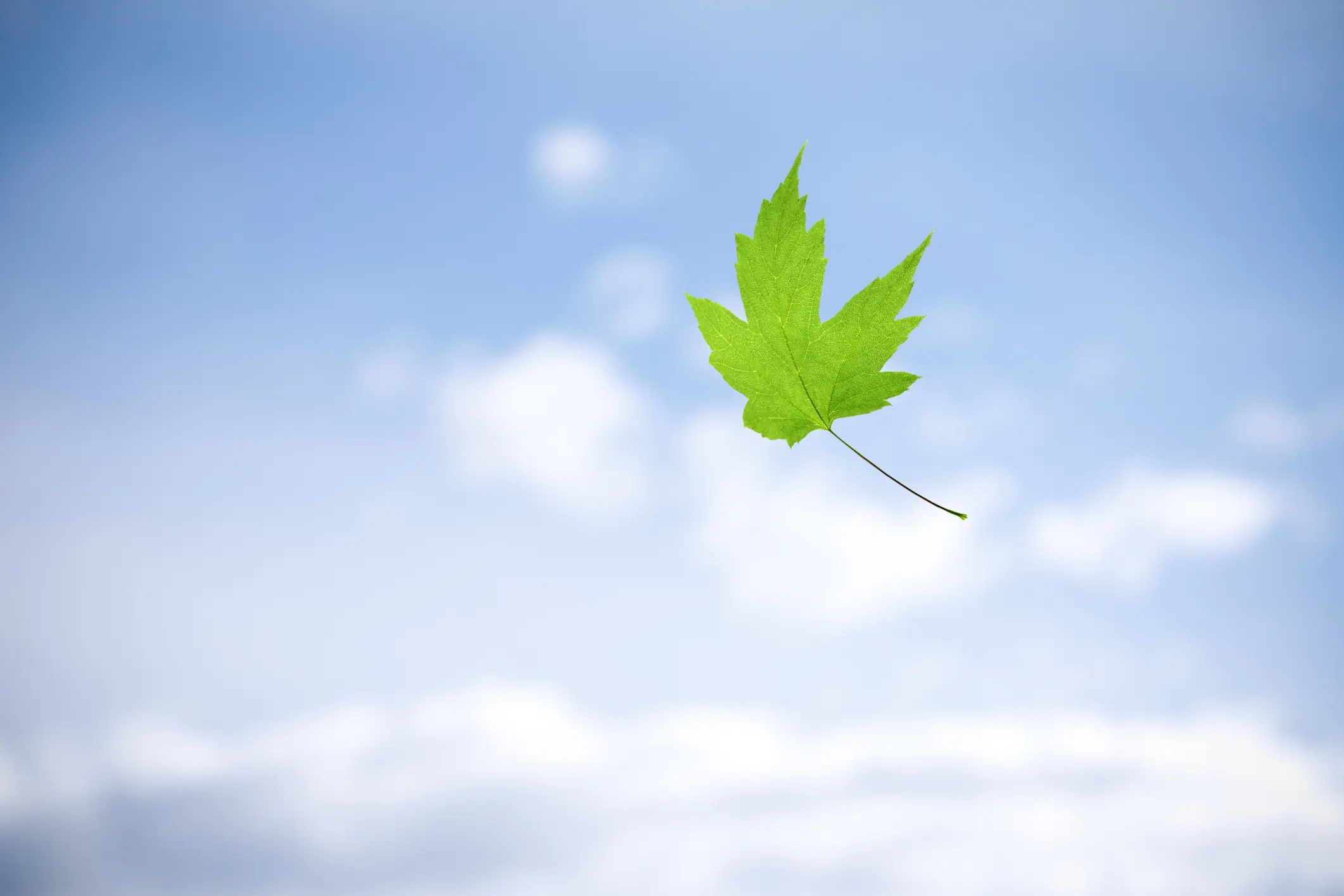 ¿Cómo se produce el viento?