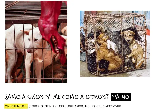 veganismo