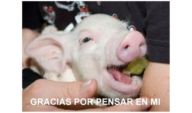 consciencia